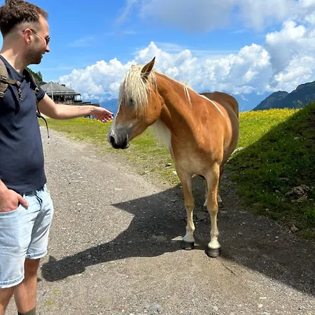 Stockstan * هيرماجور