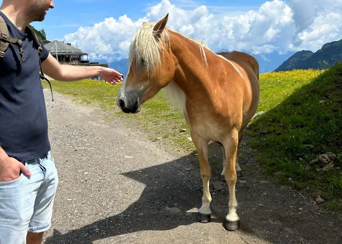 Stockstan * הרמגור