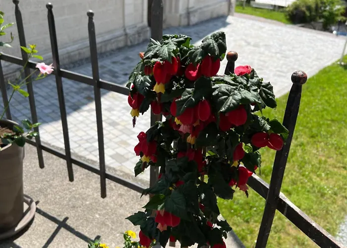 Stockstan דירה הרמגור